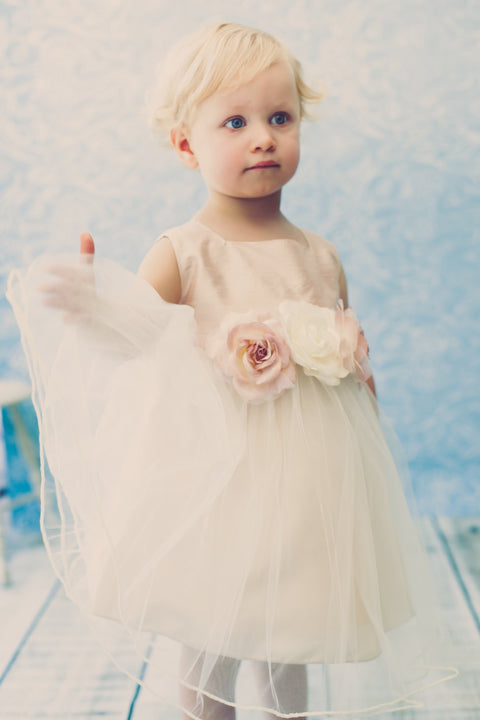 Silk Top Baby Dress - Dusty Rose