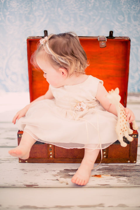 Metallic Jacquard Baby Dress
