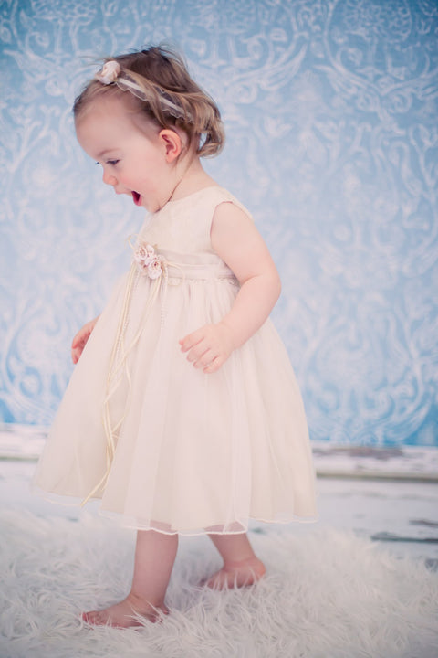 Metallic Jacquard Baby Dress