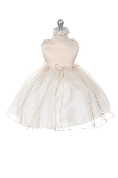 Rosebud Organza Baby Dress