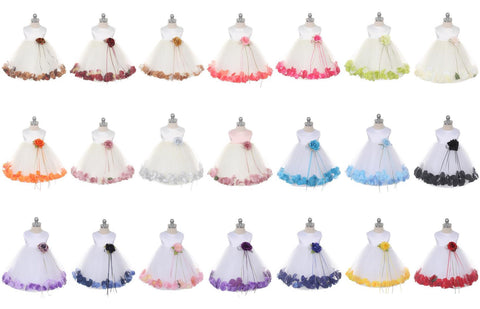 See photo for petal color reference