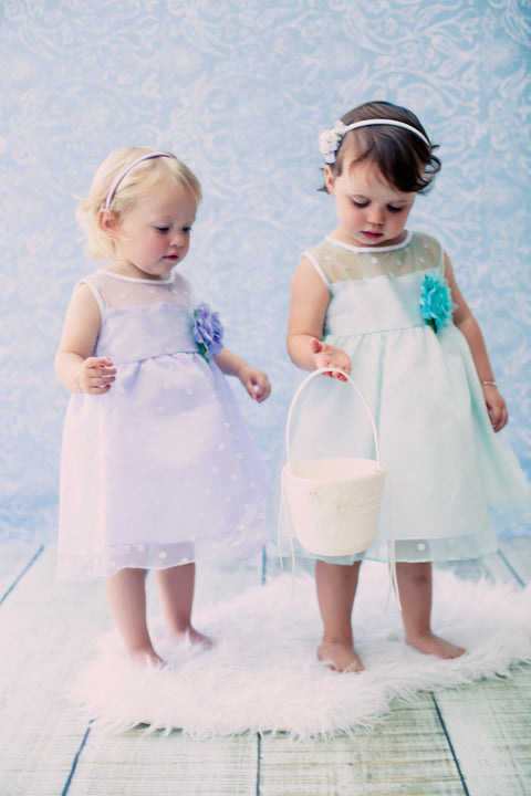 Organza Polkadot Baby Dress