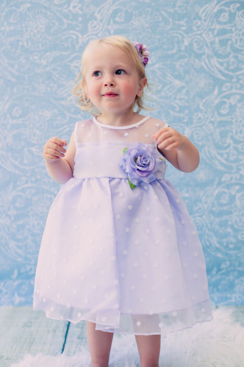 Organza Polkadot Baby Dress