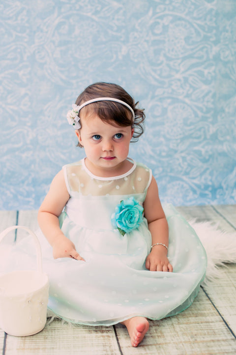 Organza Polkadot Baby Dress