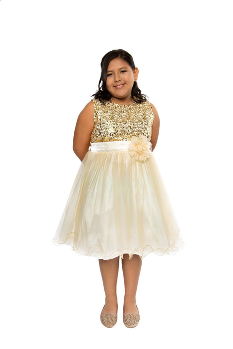 Plus Size Sequin Girl Party Dress