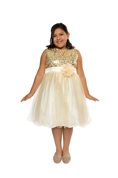 Plus Size Sequin Girl Party Dress