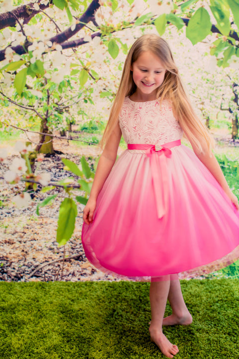 Rosette Bodice Ombre Girl Dress