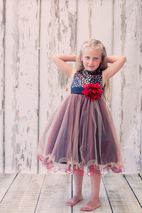 Multi-Sequin Trio Color Tulle Dress