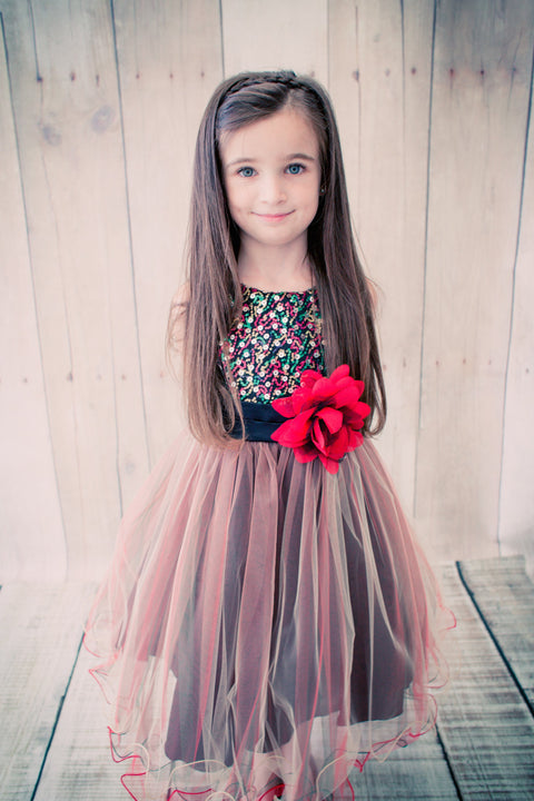 Multi-Sequin Trio Color Tulle Dress