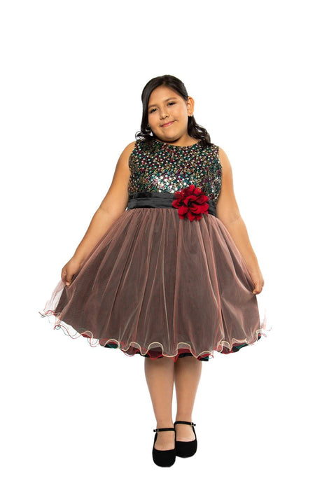 Plus Size Multi-Sequin Trio Color Tulle Dress