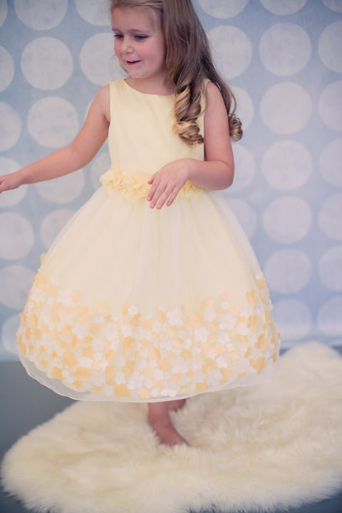 Mesh Dress w/ Taffeta 3D Flowers Girl Dress
