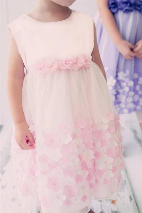 Mesh Dress w/ 3D Taffeta Flowers Baby Dress