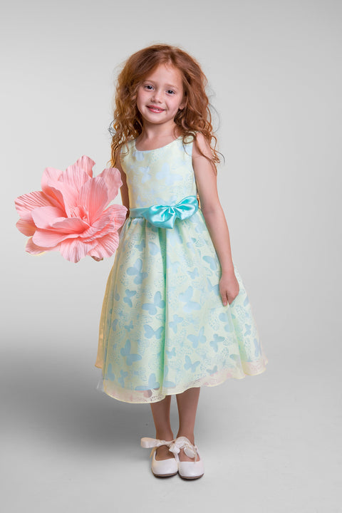 Butterfly Burnout Organza Girl Dress