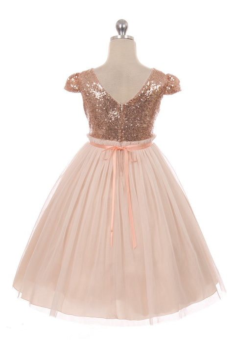 Sequin Mesh Pleated Dress