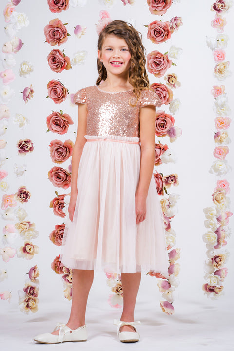 Sequin Mesh Pleated Dress