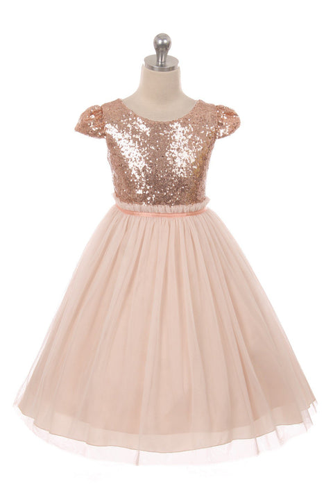 Plus Size Sequin Mesh Pleated Dress