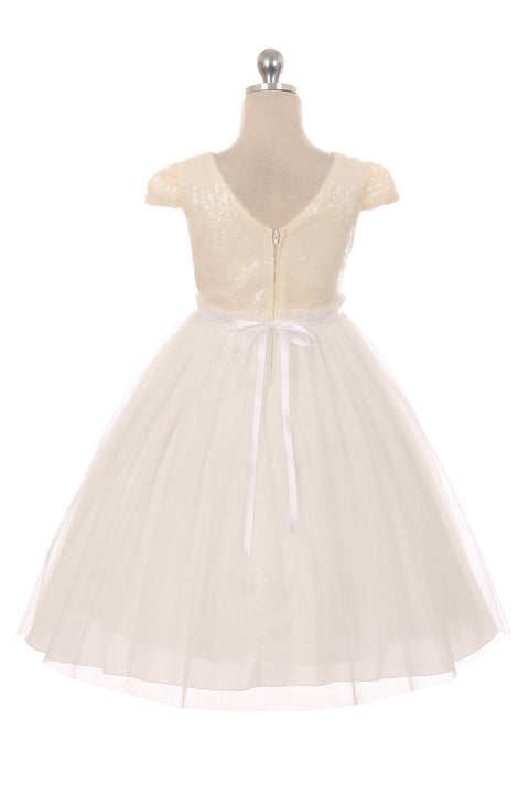 Sequin Mesh Pleated Dress