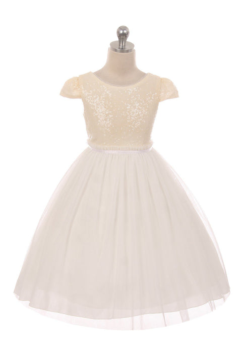 Sequin Mesh Pleated Dress