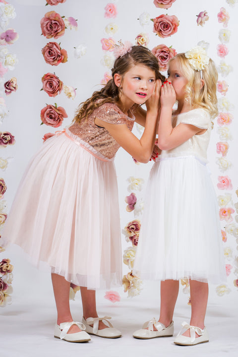 Sequin Mesh Pleated Dress