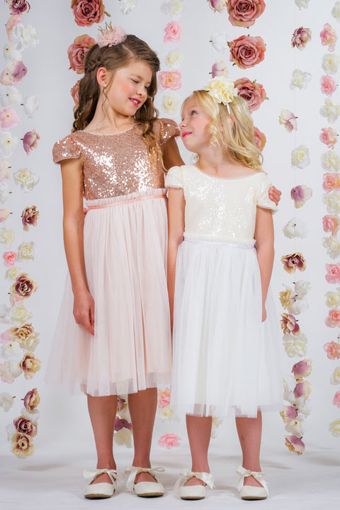 Sequin Mesh Pleated Dress