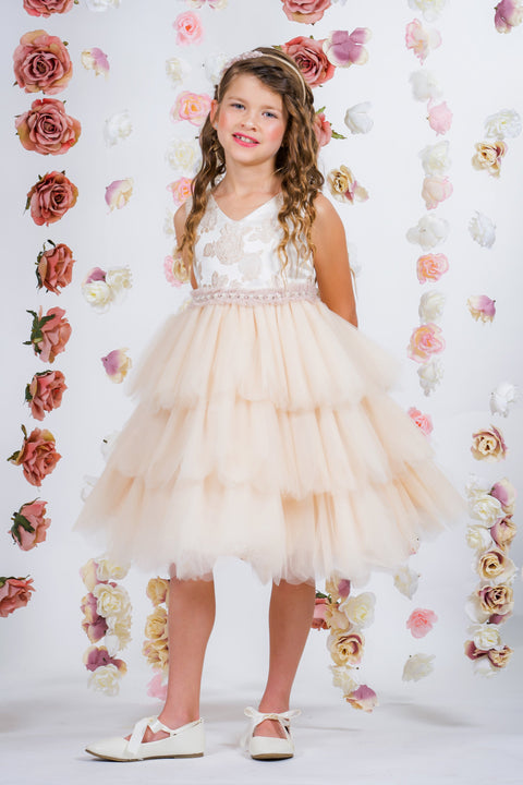 Rose Brocade 10 Layer Illusion Dress
