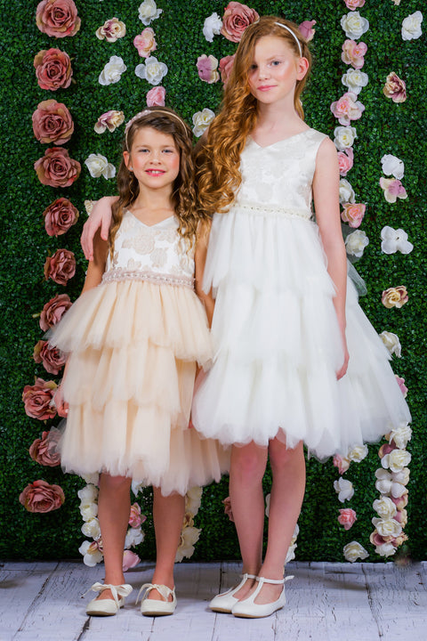Rose Brocade 10 Layer Illusion Dress