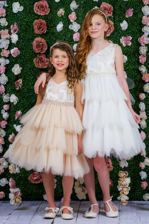 Rose Brocade 10 Layer Illusion Dress