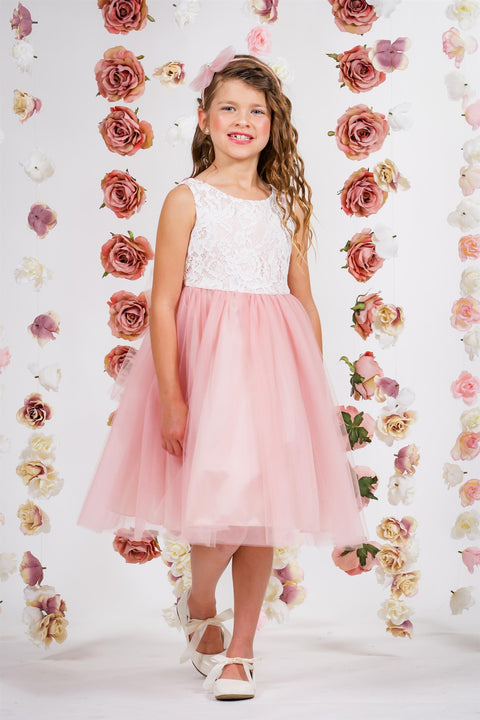 Lace Illusion Dress