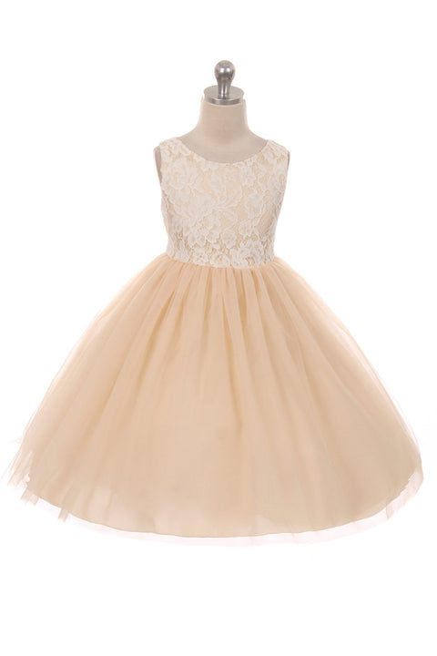 Lace Illusion Dress