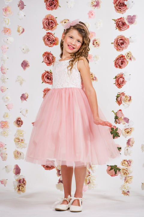 Lace Illusion Dress