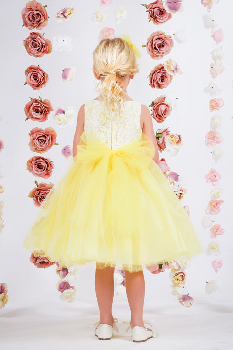 Lace Illusion Dress