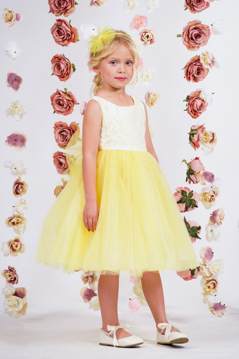 Lace Illusion Dress