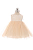 Lace Illusion Baby Dress