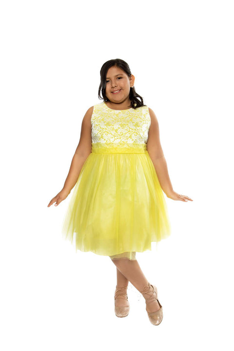 Plus Size Stretch Lace Girl Dress