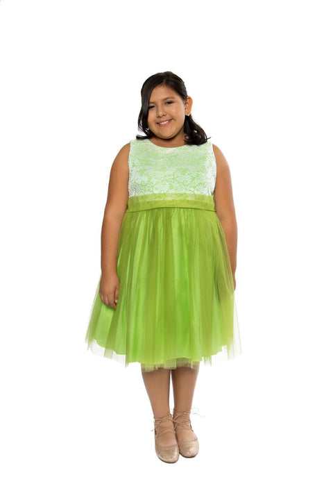 Plus Size Stretch Lace Girl Dress