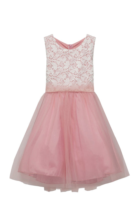 Plus Size Stretch Lace Girl Dress