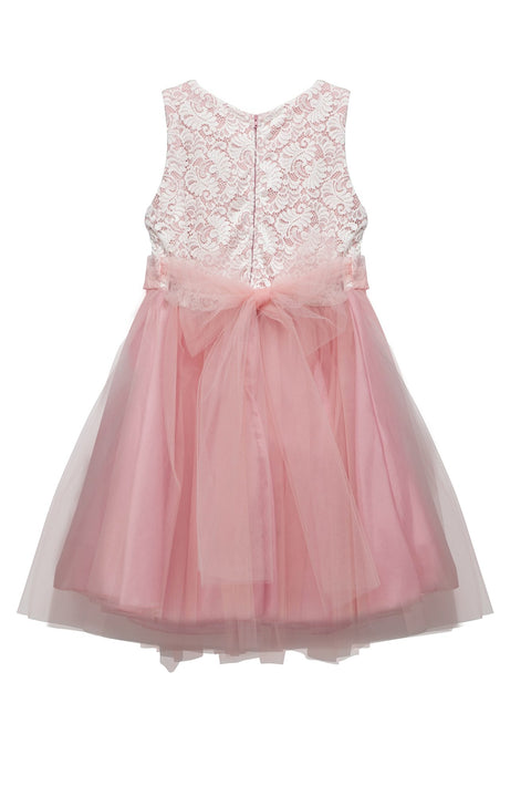 Plus Size Stretch Lace Girl Dress