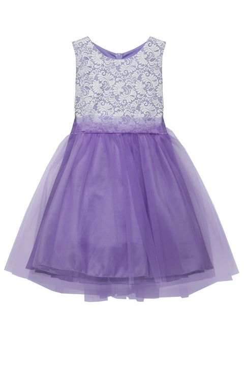Plus Size Stretch Lace Girl Dress