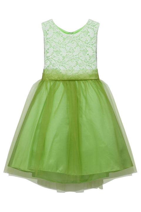 Plus Size Stretch Lace Girl Dress