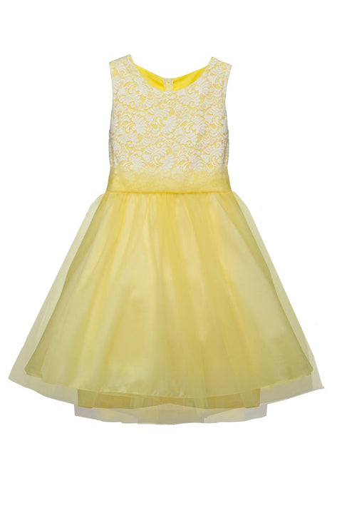 Plus Size Stretch Lace Girl Dress