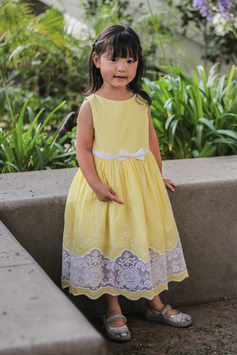 Cotton Sheer Embroidery Dress