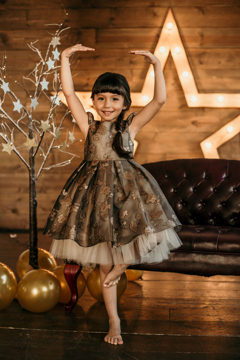 Organza Jacquard Dress