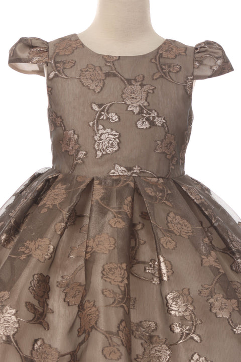 Organza Jacquard Dress
