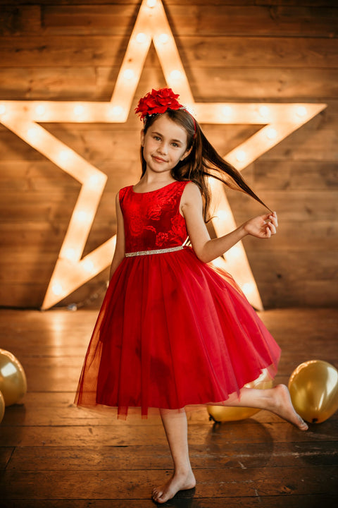 Embossed Floral Velvet Tulle Dress