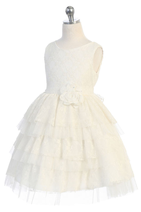 Lace Tulle Layered Dress
