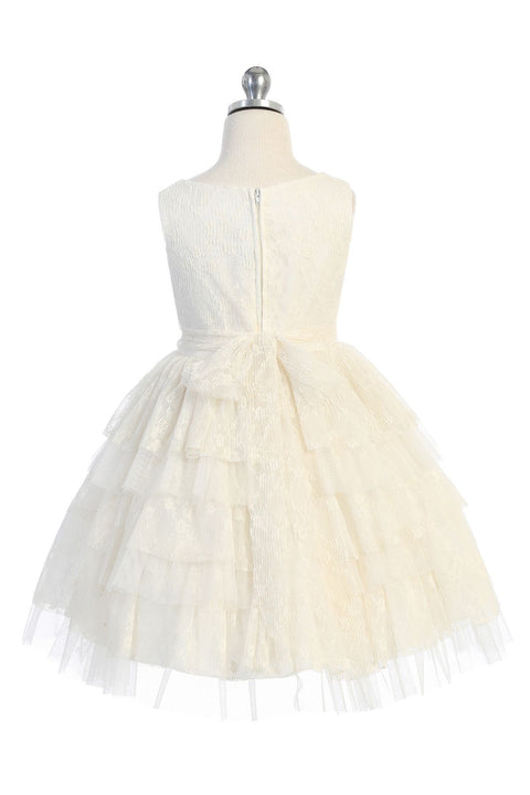 Lace Tulle Layered Dress