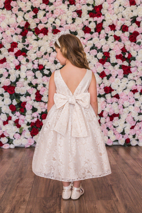 Lace V Back Bow Dress