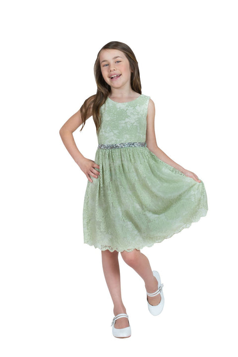 Stretch Lace Dress