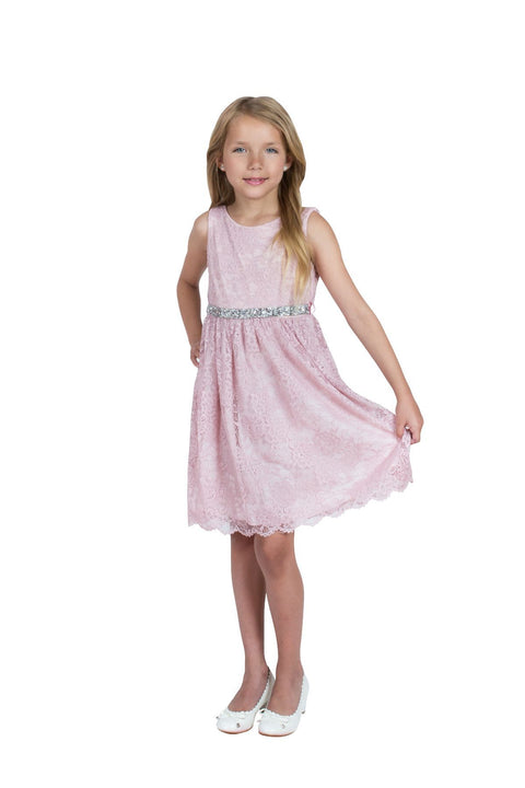 Stretch Lace Dress