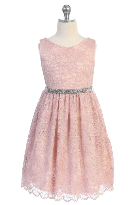Plus Size Stretch Lace Dress